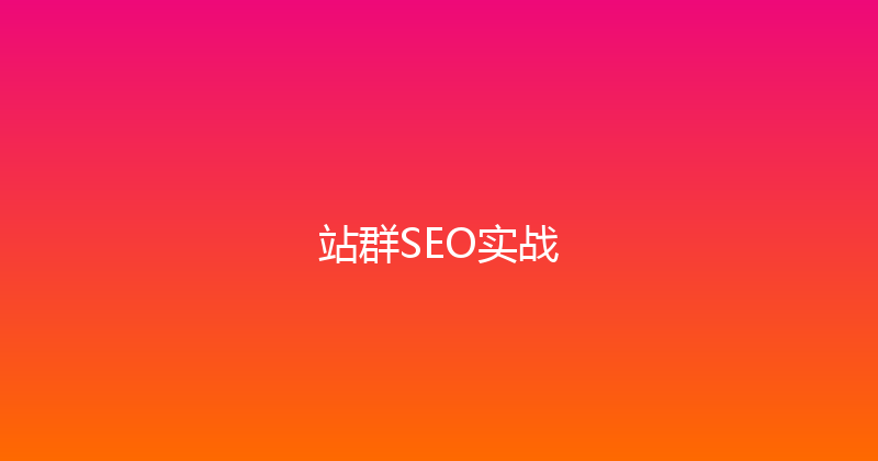 站群SEO实战 封面图