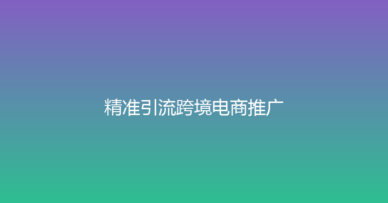 精准引流跨境电商推广 封面图